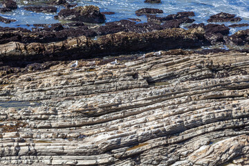 pattern of stones at the coast in different layers