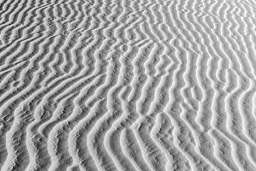  sand dune in sunrise in the desert