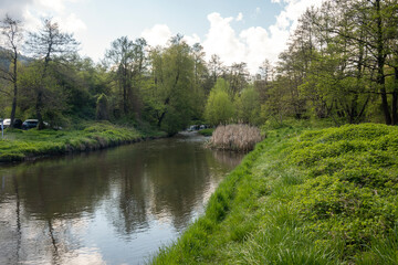 Spring Landscape of Iskar river near Pancharevo lake, Bulgaria