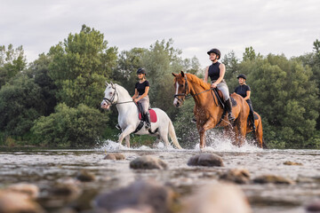 Three rider girls crossing the calm river water riding their beautiful horses on the cloudy summer day. Concept of equestrian leisure activity. - obrazy, fototapety, plakaty