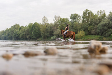 Scenic view of a female horseback rider on a beautiful red chestnut horse riding in the river...