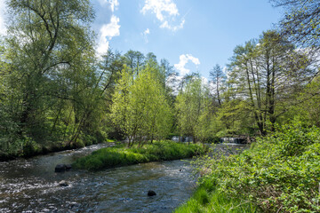 Fototapeta na wymiar Spring Landscape of Iskar river near Pancharevo lake, Bulgaria