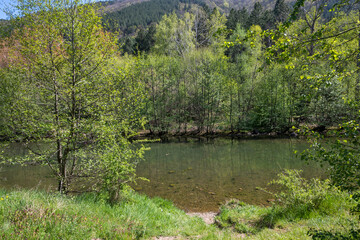 Spring Landscape of Iskar river near Pancharevo lake, Bulgaria