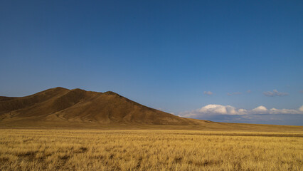 Mongolia / Khustai National Park / grasslands and mountains in early spring