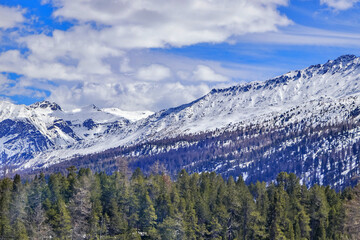 Swiss & Italian Alps