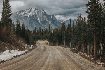 road in the woods in the Canadian Rocky Mountains in Alberta Canada, near Canmore and Banff 