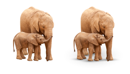 Transparent PNG of Baby and Mother Elephant Isolated With and Without A Shadow (Shadow Blending Mode is saved as "Multiply").