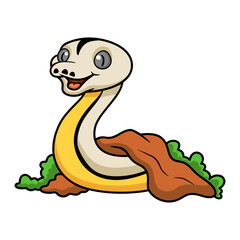 Cute reticulated motley tiger platinum cartoon out from hole