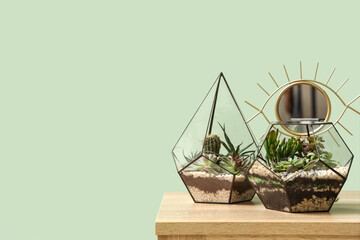 Florariums with mirror on table near green wall