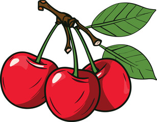 Cherry vector illustration. Isolated on a white background. Cartoon style icon
