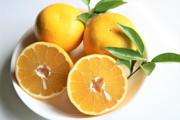 柑橘系　フレッシュなオレンジ類　宇和ゴールド