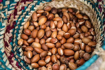 Argan fruits in a basket ready to extract argan oil with the traditional way. Souss Massa, Morocco.