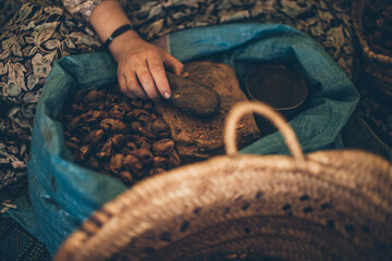 Moroccan woman selecting argan fruits to extract argan oil with the traditional way. Souss Massa, Morocco.