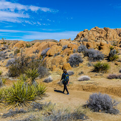 Female Hiker and Granite Rock Formations on The Split Rock Loop Trail, Joshua Tree National Park, California, USA