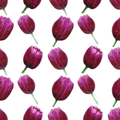 Beautiful bloom tulips watercolor Seamless floral pattern