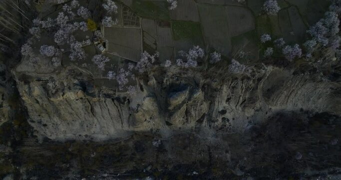 Aerial view of cliff with apricot trees on bloosom in Aliabad, Hunza Valley, Gilgit Baltistan, Pakistan, Karakoram range of the Himalayas
