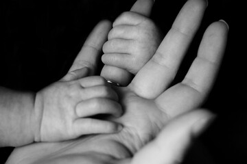 Baby holding her mother's hand with her little hands in a sweet and innocent way (Mother's Day) - obrazy, fototapety, plakaty