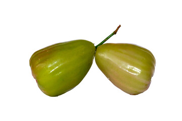 Two ripe and ready-to-eat rose apples, known as Jambu Madu Deli, has green  colour and has a very sweet taste