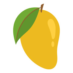 mango fruit vector illustration 