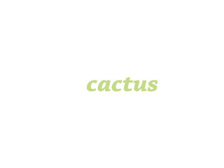 set of flowers cactus