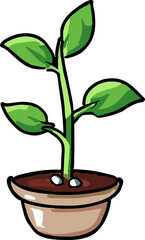 plant growing png graphic clipart design