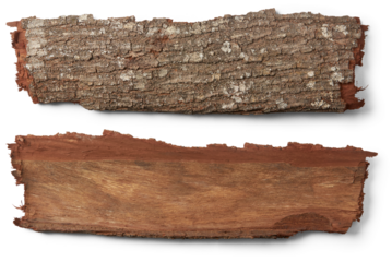 outermost layer of tree trunk, reddish brown hardwood tree bark isolated, both sides of rough, textured bark, natural signpost for graphic designing