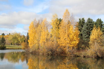 Fototapeta na wymiar Autumn Colors On The Lake, William Hawrelak Park, Edmonton, Alberta