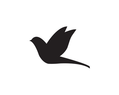 Flying bird silhouette icon vector symbol design illustration