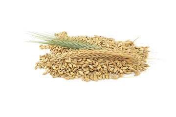 Barley seeds with the outer husk ears over white