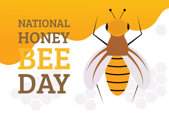 Banner for national honey bee day holiday.