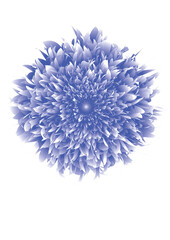 colorfull of flower vector 