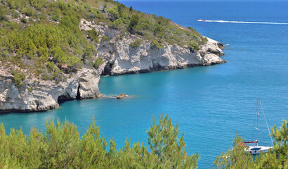 view on cliff covered with green trees  in a turquoise blue sea in the park Gargano - Puglia italy