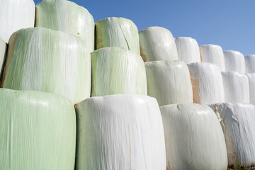 Fototapeta premium Wrapped and stacked hay bales with blue sky in the background