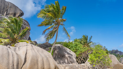 Picturesque granite rocks with smoothed slopes against the blue sky. Tropical vegetation around. Palm leaves are fluttering in the wind. Seychelles. La Digue. Anse Source D’Argent 