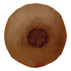 Fresh Kiwi Fruit Clip art Element Transparent Background