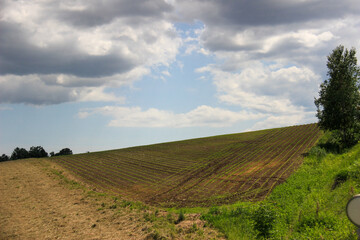 Fototapeta na wymiar 春の丘の上の畑 