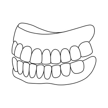 recommend clip art: Dental prosthesis outline doodle icon. Dentistry, stomatology illustration