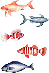 fish isolated on white background