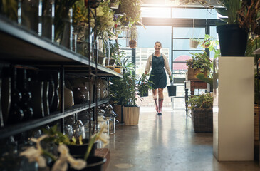 Flowers, young florist carrying plants in buckets and in plant nursery with lens flare. Agriculture or carbon footprint, eco friendly environment and female worker in small business in flower retail - obrazy, fototapety, plakaty