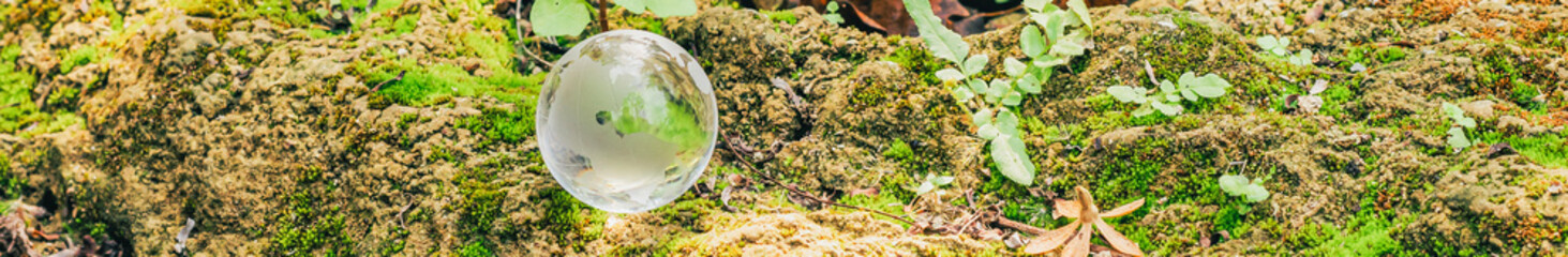 natural world glass ball concept