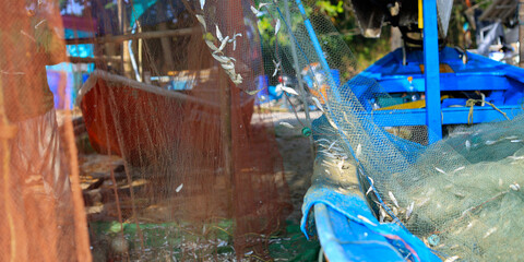 fishnet in fish farm collecting the catch of the day in thailand