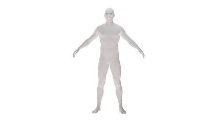 White plastic High resolution conceptual human 3D anatomy body 3d illustration isolated 