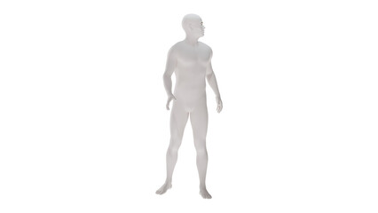 White plastic High resolution conceptual human 3D anatomy body 3d illustration isolated 