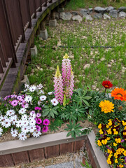 It is a flower bed with flowers of various colors.