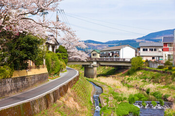 Yufuin in spring, Oita Prefecture, Kyushu, Japan. 