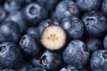 ripe sweet blueberry cut texture background.