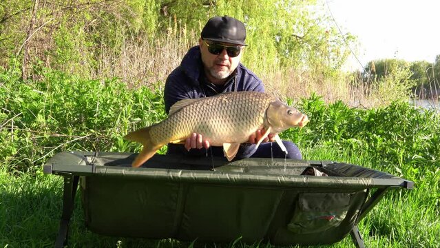 Success carp fishing. Man showing big carp in his hands. Happy fisherman with fish trophy