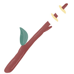 marshmallows on stick hand drawn