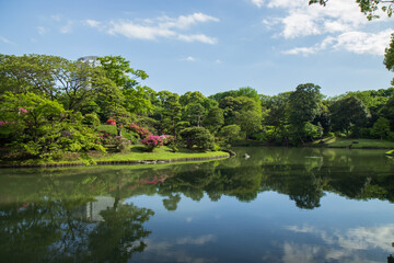 Fototapeta na wymiar lake in the japanese garden