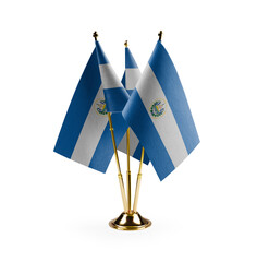 Small national flags of the Salvador on a white background